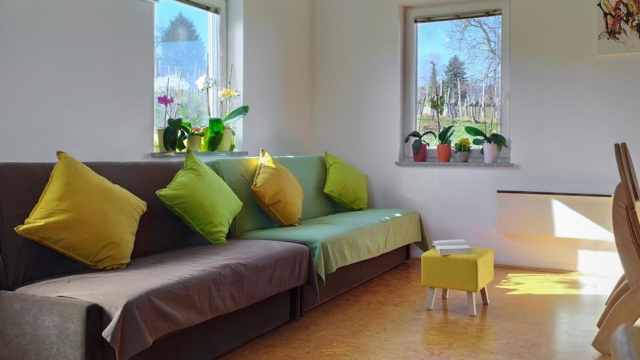 Apartments Vinska Trta Catez ob Savi Ngoại thất bức ảnh