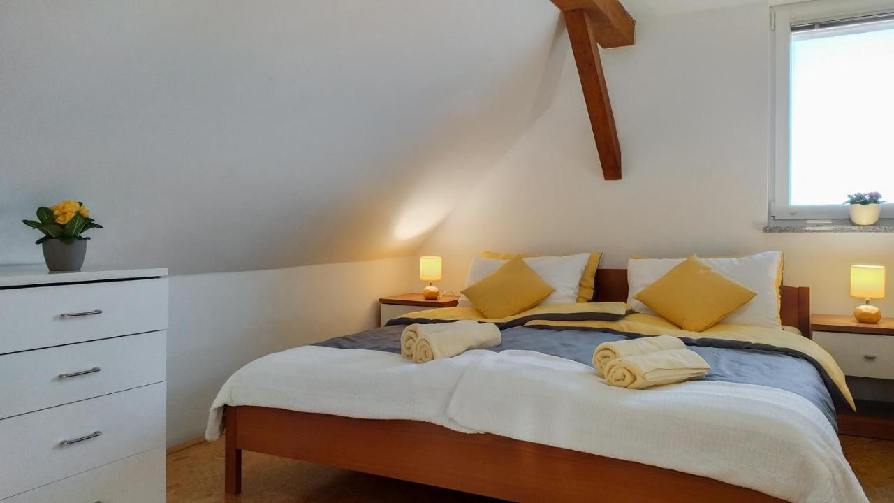 Apartments Vinska Trta Catez ob Savi Ngoại thất bức ảnh
